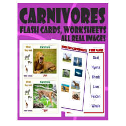 Carnivores – Flash cards, Worksheets - with real Images